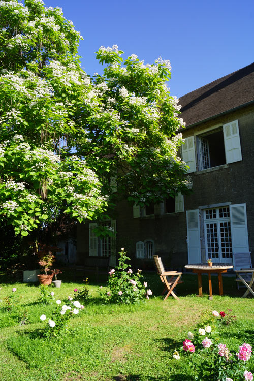 demeure vigneronne Jura Chambre d'hotes